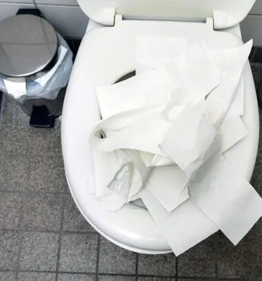 Blocked Toilet