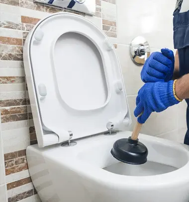 Toilet Repairs