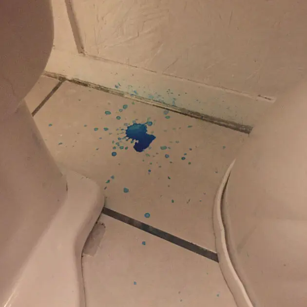 Phone Our Team Today