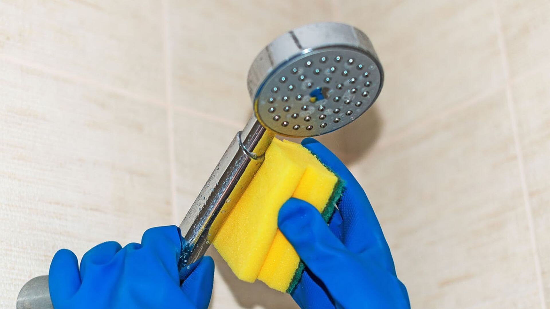 https://zeve.au/wp/uploads/2021/11/cleaning-shower-head-with-yellow-sponge.jpg