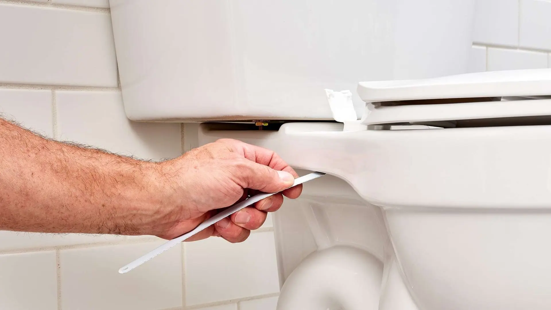 How To Install A Toilet Seat — Easy DIY Guide ‐ WP Plumbing