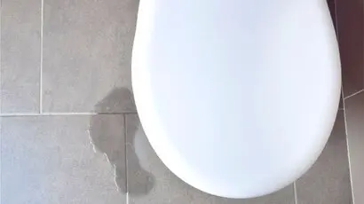 Why Is The Base Of My Toilet Leaking? Why Is The Base Of My Toilet Leaking?