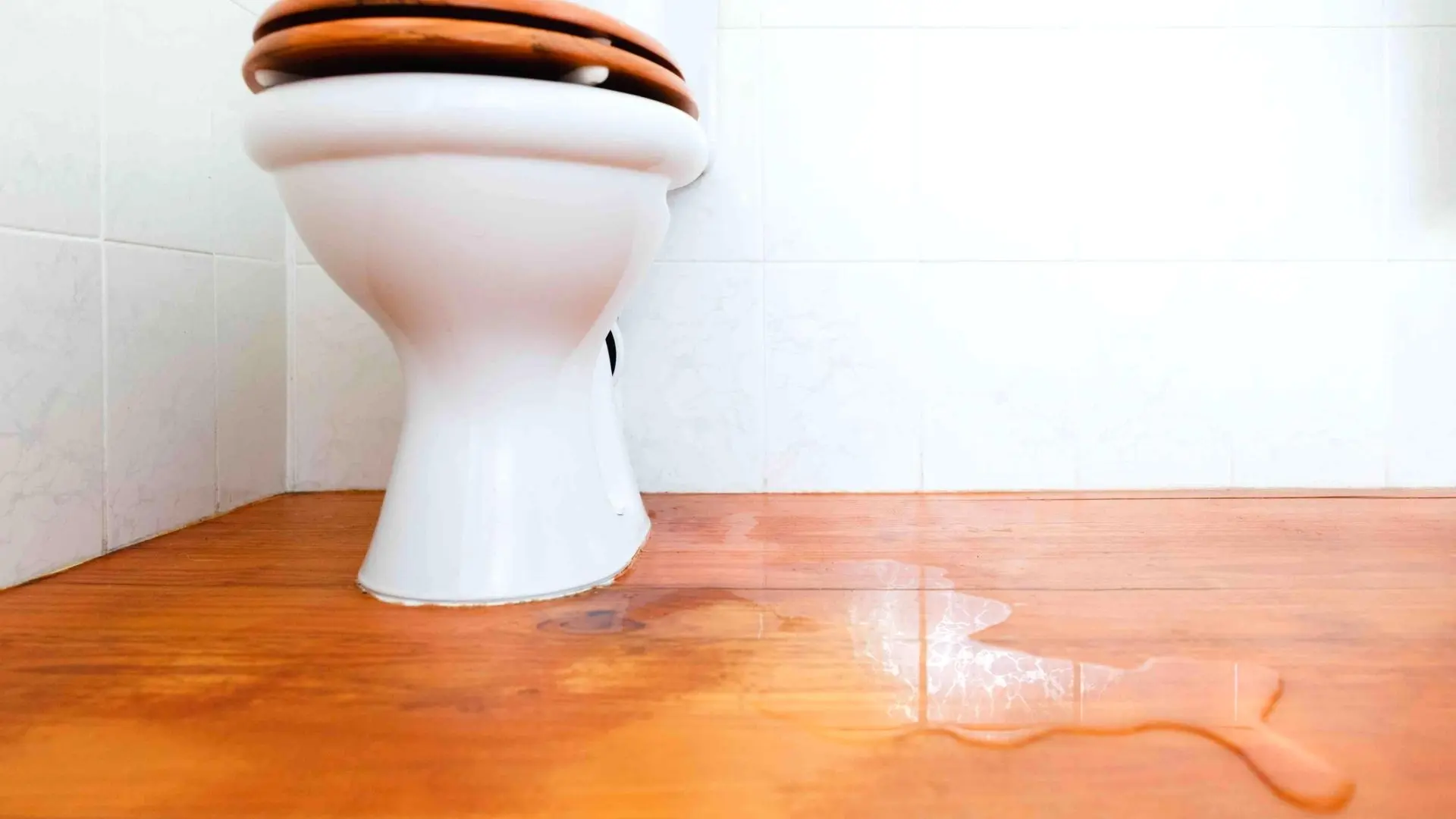 Why Is The Base Of My Toilet Leaking? ‐ WP Plumbing