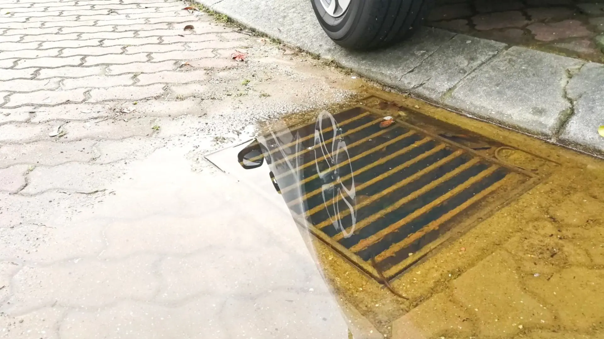Clogged Drains 101 What Causes Blockages & How to Prevent Them‐ WP