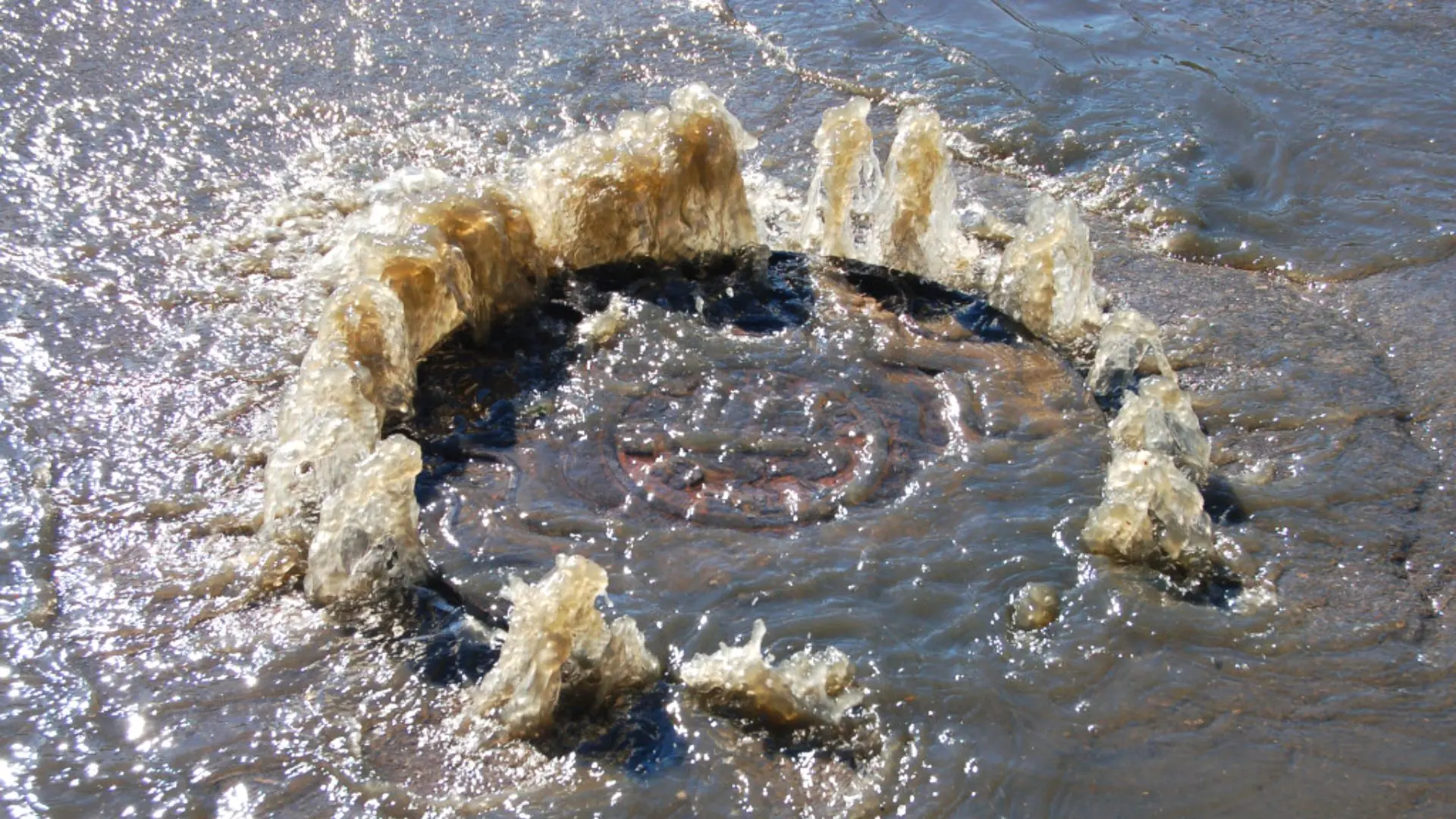 Overflowing Sewer Drains