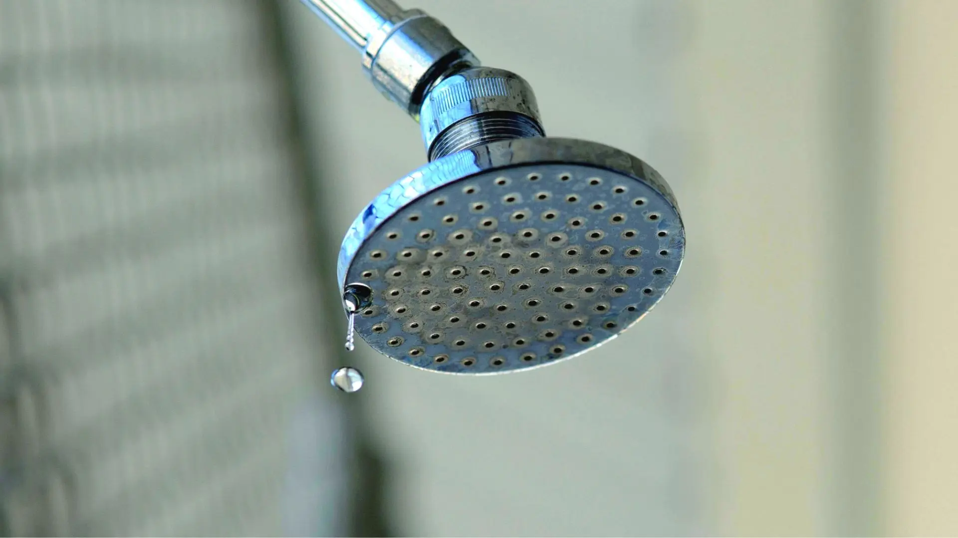 How Much Does It Cost To Fix A Shower Head