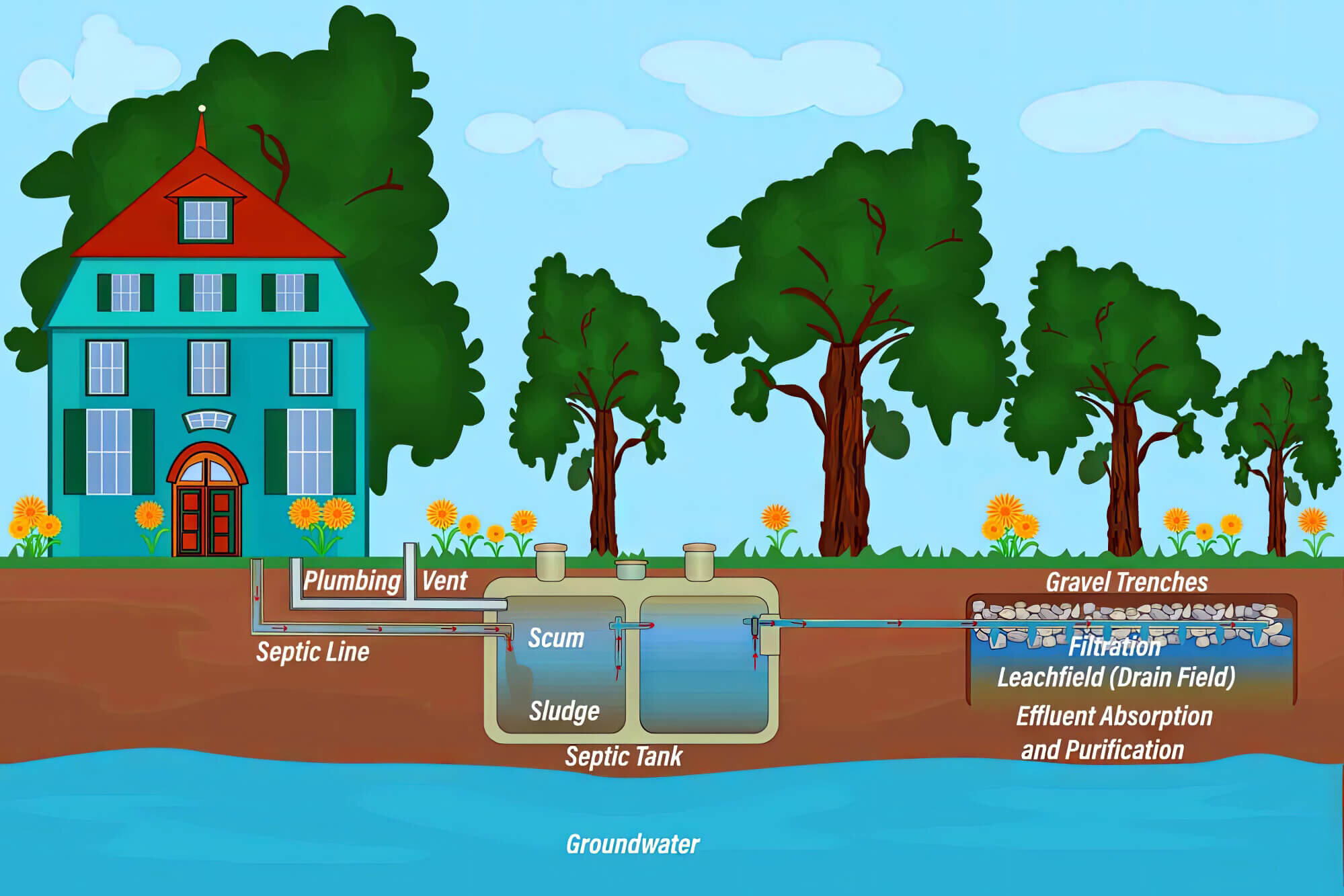 the-dangers-of-not-pumping-your-septic-tank-wp-plumbing