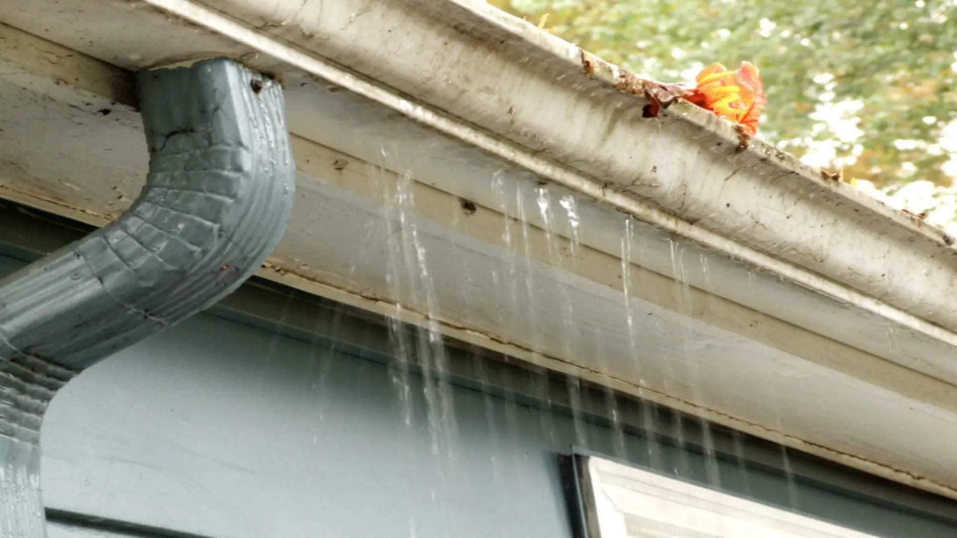 Are Your Gutters Overflowing When It Rains? ‐ WP Plumbing