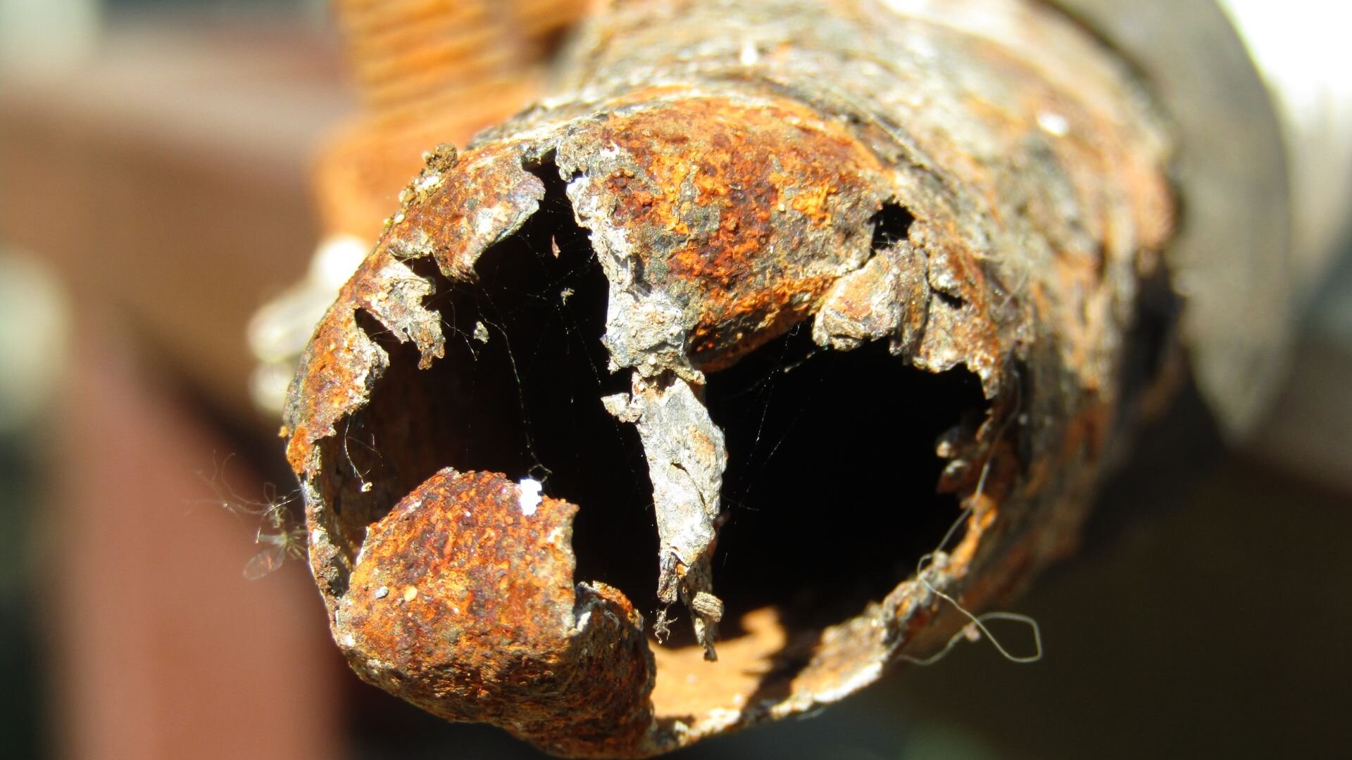 The Hidden Danger of Corroded Pipes: Could Yours Be on the Verge of ...