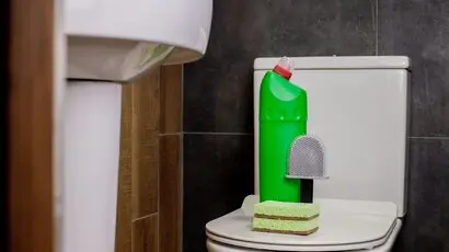 Toilet Cistern Cleaning and Disinfection Tips