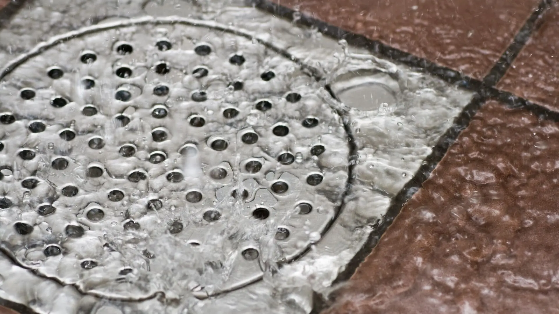 Signs of a Leaking Shower Drain What to Look For & How to Fix It‐ WP