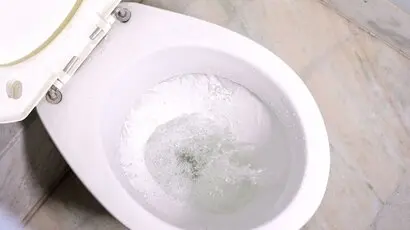 New Toilet? Perfect Flush Guide