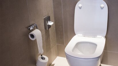 Choosing The Right Toilet Type For Your Home