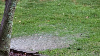 Common Causes of Blocked Outside Drains