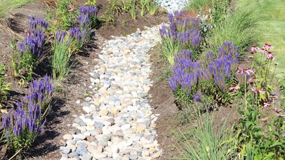 How Landscaping Can Ruin or Rescue Your Outside Drains