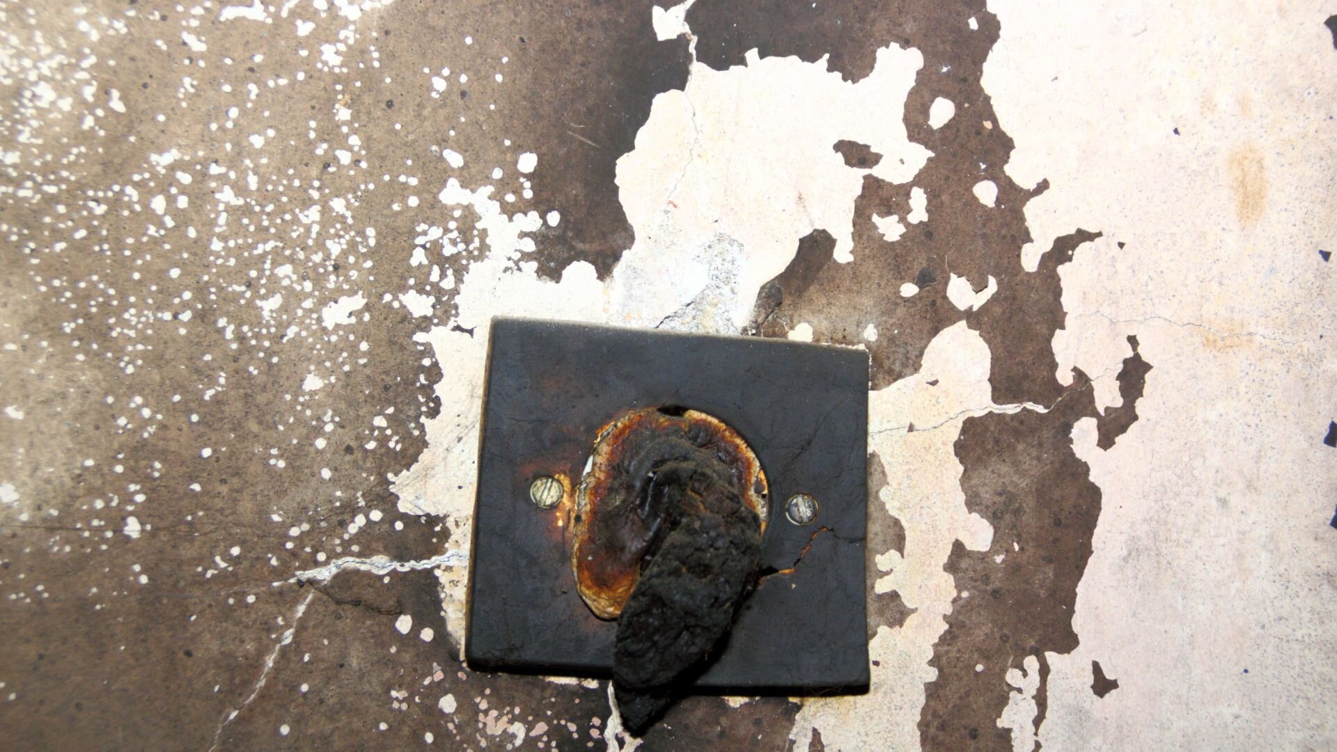 What To Do If Outlet Smells Like Burning